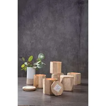 Paddywax Woods Collection 12-Ounce Soy Candle at Home