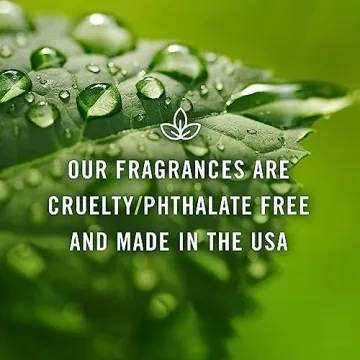 P&J Fragrance Favorites | Strong Scents for Crafting