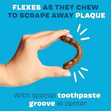 Barkbox Bright Durable Dog Dental Kit for Tough Chewers, 15 Chew Sticks & Toothpaste - Medium Breeds