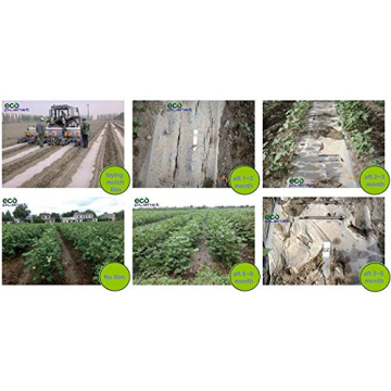 EcoPlanet Bio-degradable Plastic Mulch Film for Gardens
