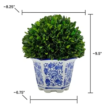 Galt International Preserved Natural Boxwood in Ceramic Pot - Plant and Table Centerpiece - Stunning Greenery and Plant Decor for Home - Blue & White - 9.5” Tall