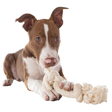 Durable Cotton Dog Rope Toy for Play and Dental Health