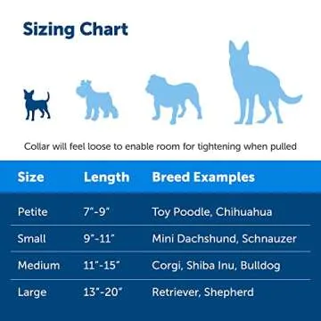 PetSafe Martingale Dog Collar - Quick-Snap Buckle, Petite