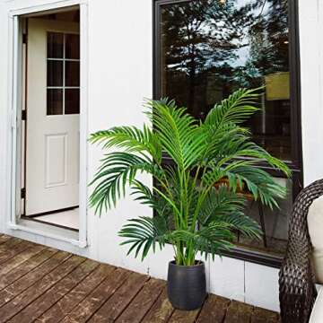 Worth Garden 4ft Areca Palm Plant for Any Space