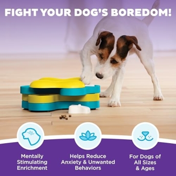 Outward Hound Nina Ottosson Dog Tornado Puzzle for Interactive Play