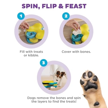 Outward Hound Nina Ottosson Dog Tornado Puzzle for Interactive Play