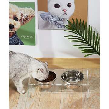 Acrylic Elevated Dog Cat Bowls Pet Feeder Double Bowl Raised Stand Comes with 4 Removable Stainless Steel Bowls. Perfect for Cats Puppies Small Dogs, 3.75 Inch