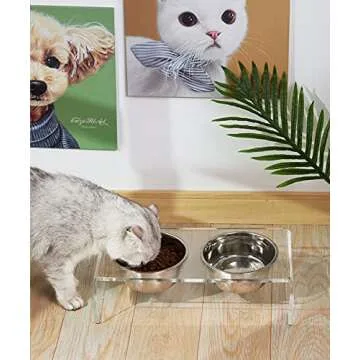 Stylish Elevated Pet Feeder with Stainless Steel Bowls
