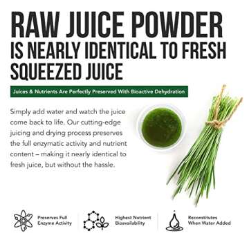 Organic Wheatgrass Juice Powder - Superfood from Utah