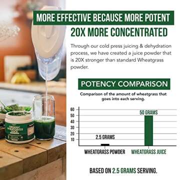 Organic Wheatgrass Juice Powder - Superfood from Utah