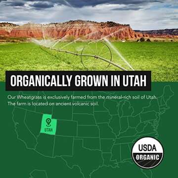 Organic Wheatgrass Juice Powder - Superfood from Utah