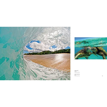 Clark Little: The Art of Waves - Stunning Ocean Photography Book