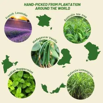 MISIJI Essential Oils Set for Diffuser and Home Scents