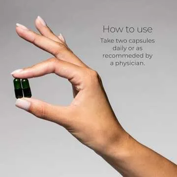 Hush & Hush ShieldUp - Immune Booster Energy Supplement - Brain Booster - Vitamin C, Maca Root, Turmeric and Organic Matcha Leaf Extract - Vegan, Gluten Free - 60 Capsules