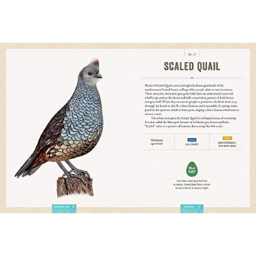 Interactive Bird Guide with Stunning Artwork