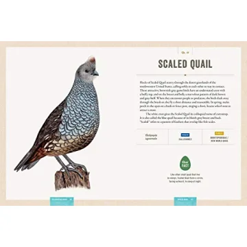 Interactive Bird Guide with Stunning Artwork