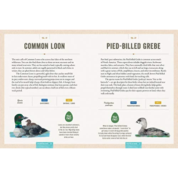 Interactive Bird Guide with Stunning Artwork