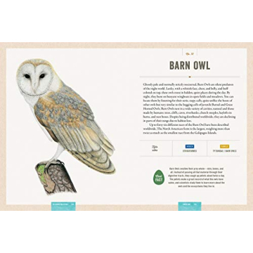 Interactive Bird Guide with Stunning Artwork
