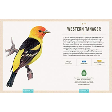 Interactive Bird Guide with Stunning Artwork