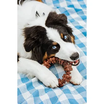 Nylabone Souper Chew Toy for Aggressive Chewers