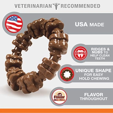 Nylabone Souper Chew Toy for Aggressive Chewers