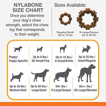 Nylabone Souper Chew Toy for Aggressive Chewers