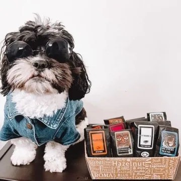 Indulgent Coffee Gift Box - 12 Unique Specialty Bags