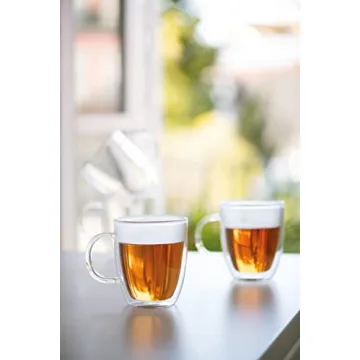 Bodum 15oz Bistro Double Wall Mugs | Insulated and Elegant