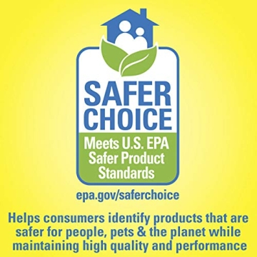 Goo Gone All-Purpose Cleaner 32oz for Multi-Surface Cleaning