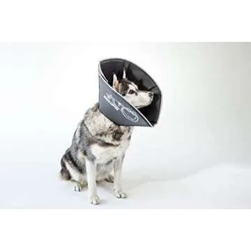 All Four Paws Comfy Cone Pet Cone for Dogs, Cats, Large, Black - Comfortable Soft Dog Cone Collar Alternative for After Surgery, Wound Care, Spay, Neuter - Dog and Cat Recovery Elizabethan-Collar