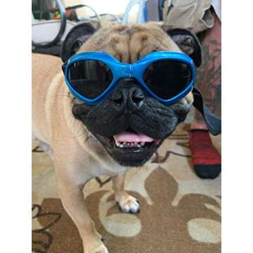 [New Version] CocoPet Adorable Dog Goggles Pet Sunglasses Eye Wear UV Protection Waterproof Sunglasses for Puppy Dogs Small Medium White Blue