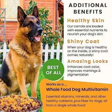 Olewo Original Carrots for Dogs – Fiber for Dogs Keep Poop Firm, Digestive Dog Food Topper, Skin & Coat Support, Dehydrated Whole Food Dog Multivitamin, Gut Health for Dogs, 1 lb