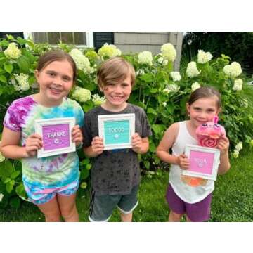 Mini Felt Letter Board Set for Creative Displays 3-Pack