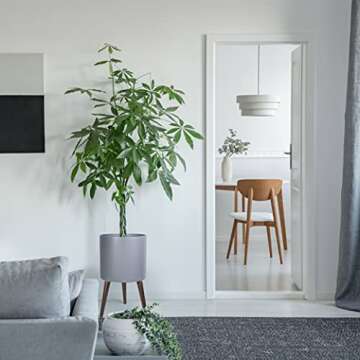 D'vine Dev 12 Inch Planter Pot with Stand for Indoor Plants