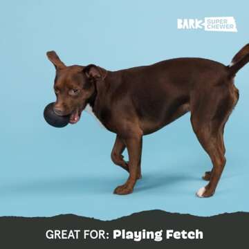 Barkbox Super Chewer Tough Dog Chew Toys for Aggressive Chewers, Treat Dispensing (Origin - Large)