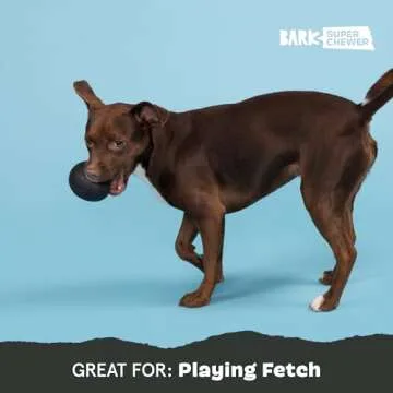 Barkbox Super Chewer Tough Dog Chew Toys for Aggressive Chewers, Treat Dispensing (Origin - Large)