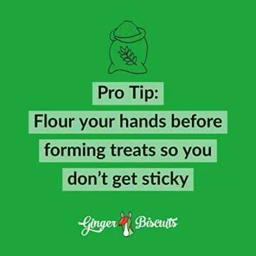 Ginger Biscuits Bake at Home Horse Treats - Apple Flavor