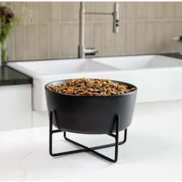 Waggo Simple Solid Dog Bowl and Dog Bowl Stand - Single Iron Stand with Single Ceramic Feeder or Water Bowl (Medium, Matte White)