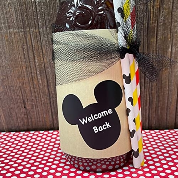 Mouse Ear Vinyl Chalkboard Labels for Creative Organization