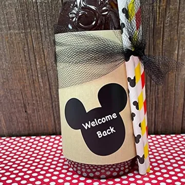 Mouse Ear Vinyl Chalkboard Labels for Creative Organization