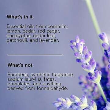 Public Goods Body & Hand Lotion for Women & Men | Natural Moisturizing Daily Lotion for Dry & Itchy Skin | Paraben & Sulfate Free | Made with Organic Essential Oils | Made in Canada | 34 Fl Oz Refill