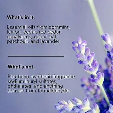 Public Goods Body & Hand Lotion for Women & Men | Natural Moisturizing Daily Lotion for Dry & Itchy Skin | Paraben & Sulfate Free | Made with Organic Essential Oils | Made in Canada | 34 Fl Oz Refill