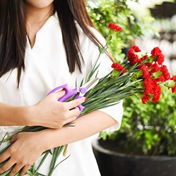 Jasni Garden Pruning Shears with Comfort Grip Handle