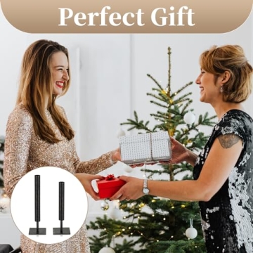 Sziqiqi Black Single Stem Vase Set for Modern Decor