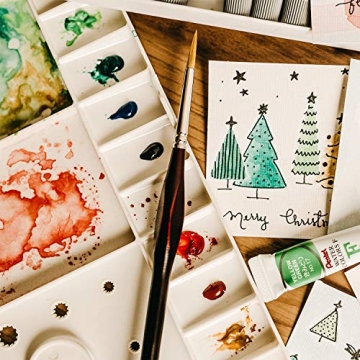 AIEX 9-Piece Fine Detail Paint Brush Set for Artists