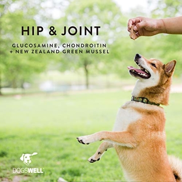 Dogswell Jerky Hip and Joint Dog Treats Grain Free USA