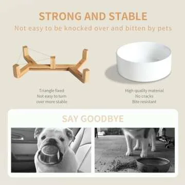 Ceramic Pet Bowls with Anti-Slip Wooden Stand for All Pets