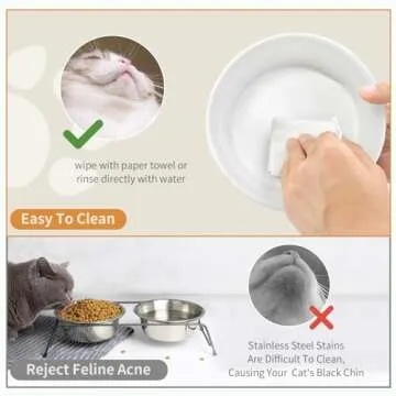 Ceramic Pet Bowls with Anti-Slip Wooden Stand for All Pets