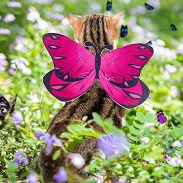Butterfly Wings for Dogs Dog Halloween Costume, Cat Dog Butterfly Wings Cats Halloween Dog Costume Butterfly Dog Costumes, Christmas Halloween Dog Wings Butterfly Wings for Cats Small Dogs Puppy