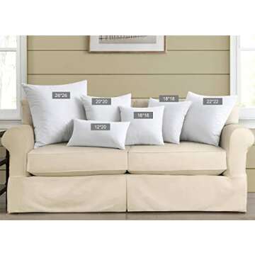 puredown® Feather Throw Pillow Inserts 22 x 22 (Pack of 2, White), Big Throw Pillows for Floor, Couch, Bed, Machine Washable